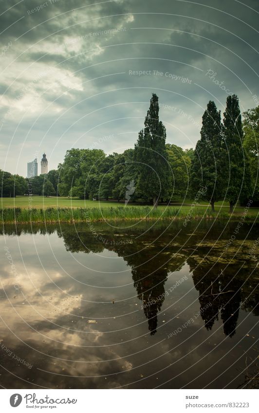 Stadtpark Umwelt Landschaft Wasser Baum Park Seeufer Moor Sumpf Stadtrand Rathaus Bauwerk Gebäude Wahrzeichen außergewöhnlich dunkel fantastisch Stimmung