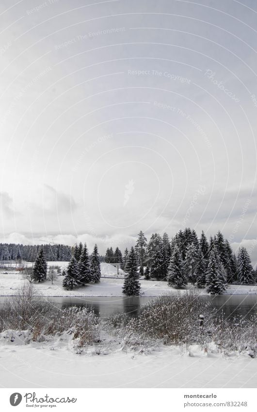 bizarr | august 2099 Umwelt Natur Landschaft Pflanze Erde Wasser Himmel Wolken Horizont Winter Klimawandel Wetter Eis Frost Schnee Baum Gras Sträucher