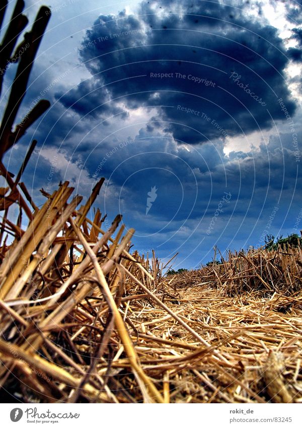 ...und sie brennt doch Unwetter Donnern Blitze Stroh Feld dunkel Wolken beerdigen Gewitterregen Regen Erde Strohfeuer Samen Furche Untergrund Dröhnen bedrohlich