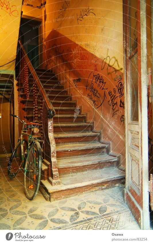 Treppenhaus Gebäude Eingang Flur Fahrrad Wand Holz Foyer Hirsche alt Zugang rustikal Etage Bauwerk aufsteigen Mauer Tor Geländer Fliesen u. Kacheln Tür