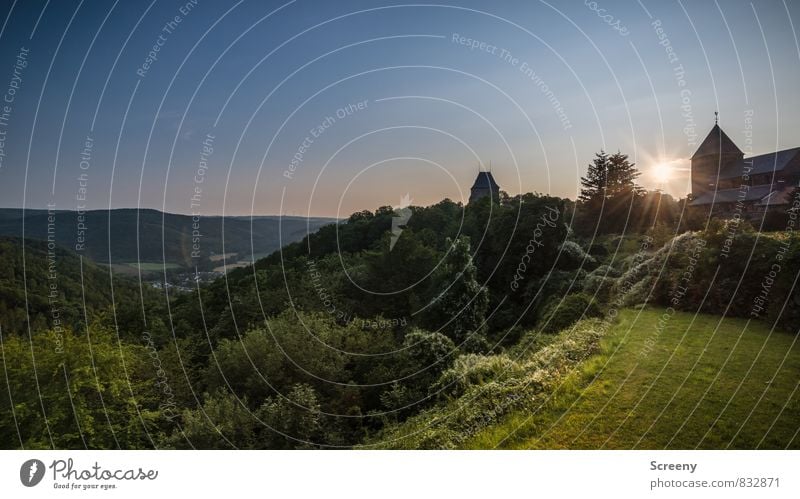 Burg Nideggen Ferien & Urlaub & Reisen Tourismus Ausflug wandern Natur Landschaft Pflanze Tier Himmel Sonne Sonnenaufgang Sonnenuntergang Sonnenlicht Sommer