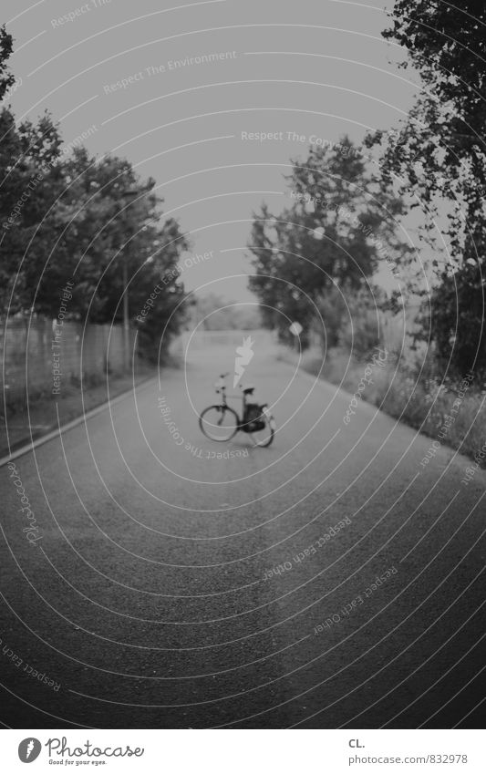 pause Fahrradfahren Natur Landschaft Baum Verkehr Verkehrswege Straße Wege & Pfade Bewegung Freizeit & Hobby Pause Sport Ziel Fahrradtour Schwarzweißfoto