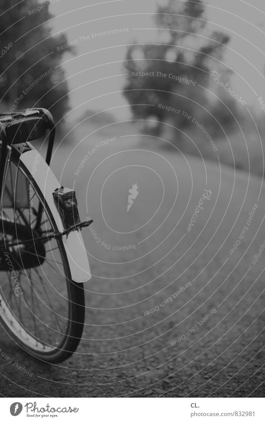 tour Verkehr Verkehrsmittel Verkehrswege Straßenverkehr Fahrradfahren Wege & Pfade Beginn Pause Perspektive Ziel Zukunft Fahrradtour Fahrradweg Farbfoto