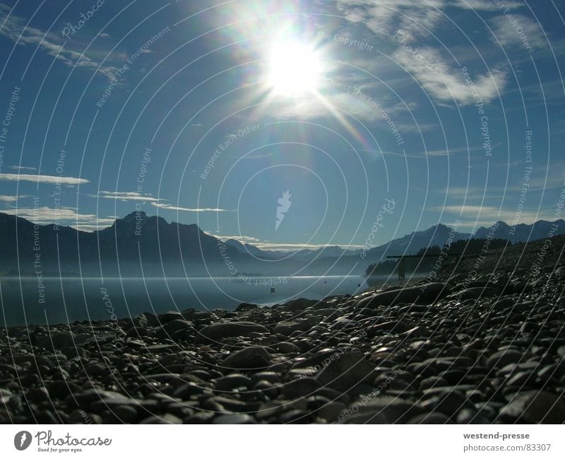 Wintersonne am Forggensee See Bayern Strand Licht in der Nähe von Füssen Sonne Stein Wasser Berge u. Gebirge Alpen