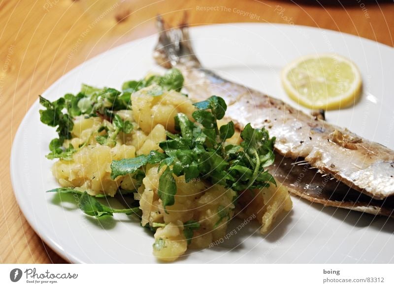 frischer Brathering ohne Marinade an Kartoffelsalat Feinschmecker Fischgericht Hering Fischgräte Zitrone Brunnenkresse Portion Teller Mahlzeit Speisesaal