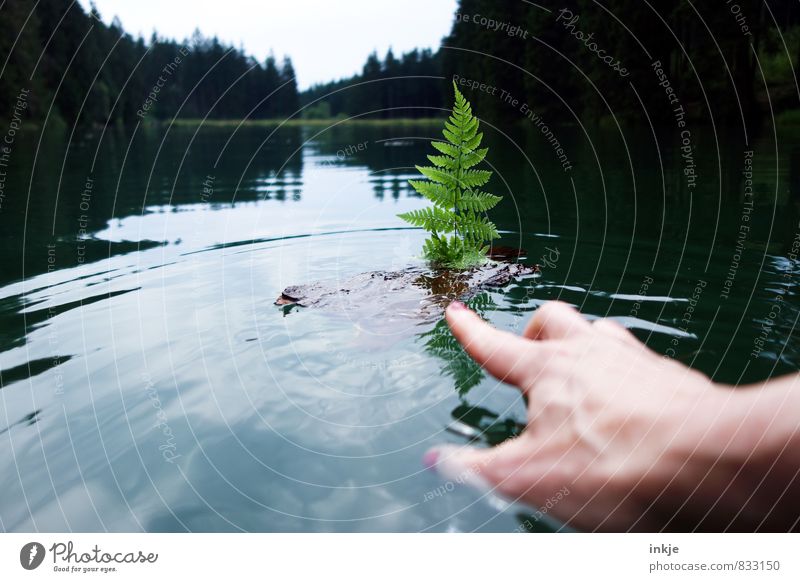 anstupsen Lifestyle Freizeit & Hobby Spielen Ferien & Urlaub & Reisen Ausflug Sommer Junge Frau Jugendliche Erwachsene Leben Hand 1 Mensch Umwelt Natur