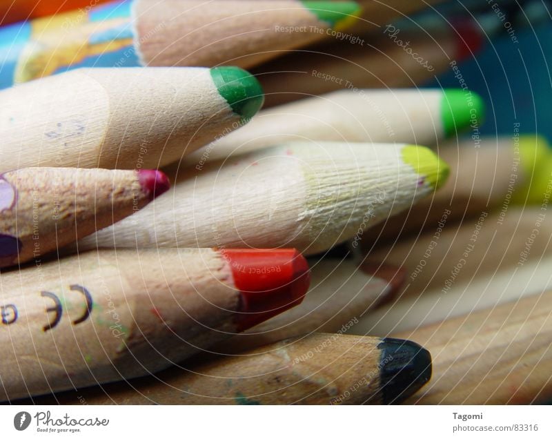 Bunte Vielfalt Federtasche Farbstift Schulranzen Volkshochschule mehrfarbig Schreibstift Holz Farbmittel Regenbogen rot rosa violett grün braun schwarz