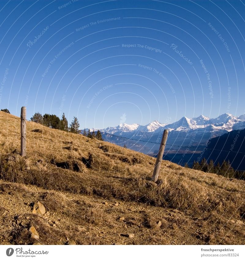 switzerland is a typical pulmex land III Berge u. Gebirge steinig Zaun Stacheldraht Ferien & Urlaub & Reisen Schweiz Eiger Schreckhorn Panorama (Aussicht)