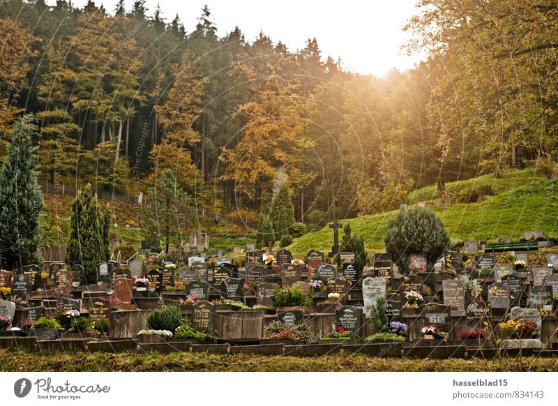 ruhe. Reichtum Nachtleben Trauerfeier Beerdigung Großeltern Senior Großvater Großmutter Leben ruhig Friedhof Wald letzte Ankunft Himmel (Jenseits) Tod Grabstein