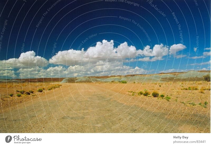 Auf der Piste Ferne Sommer Sand Himmel Wolken Schönes Wetter Sträucher Wüste Verkehrswege Straße Wege & Pfade Linie Unendlichkeit blau silber Einsamkeit Ende