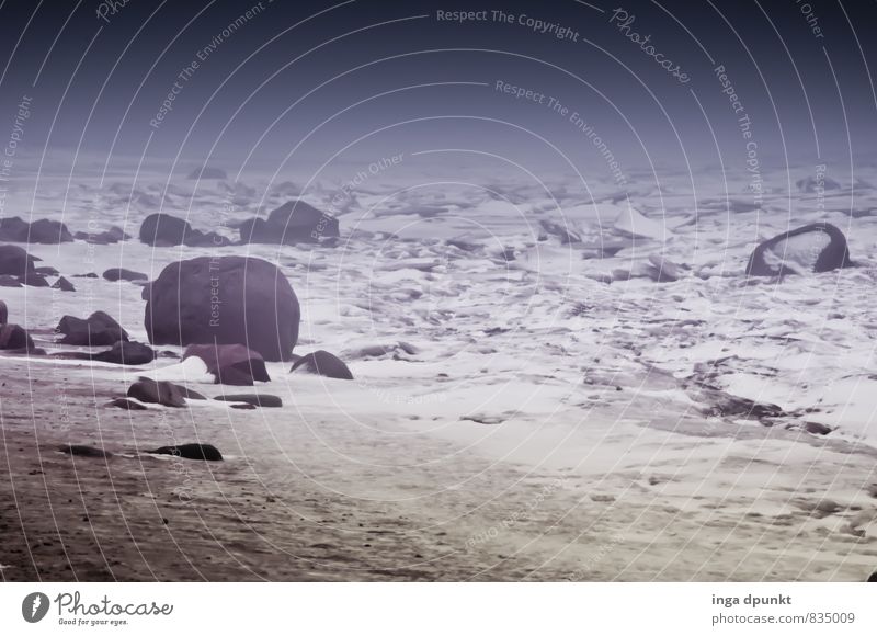 Eiszeit Umwelt Natur Landschaft Pflanze Urelemente Erde Sand Himmel Winter Klima Klimawandel Frost Schnee Küste Meer Insel Nordsee Wattenmeer