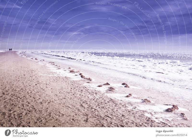 Schneestrand Umwelt Natur Landschaft Urelemente Erde Sand Winter Klima Klimawandel Eis Frost Wellen Küste Strand Meer Insel Föhr Nordsee Wattenmeer