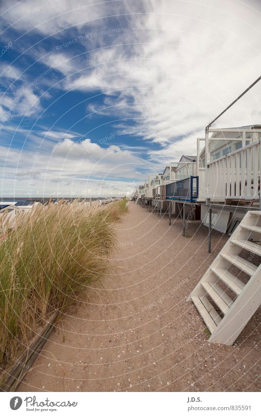 Strand harmonisch Wohlgefühl Zufriedenheit Erholung ruhig Meditation Ferien & Urlaub & Reisen Tourismus Ausflug Freiheit Sommer Sommerurlaub Sonne Meer