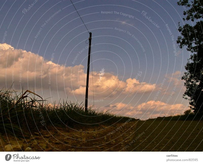 Am Boden ... Seitenstreifen Telefonmast Straßenrand unten Froschperspektive Horizont Wolken Grasnarbe Fußweg Wetter Arsch der Welt Niemandsland