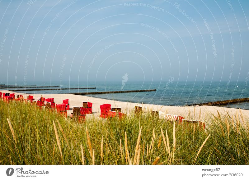 Strandkörbe | Ruhe Ferien & Urlaub & Reisen Sommer Sommerurlaub Meer Ostseeurlaub blau braun rot Strandkorb Stranddüne Sand Wasser Buhne Blauer Himmel Farbfoto