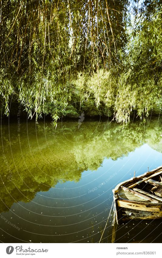 ruderboot Umwelt Natur Landschaft Sommer Baum Blatt Küste Seeufer Flussufer Bach Bootsfahrt Sportboot Ruderboot Wasserfahrzeug Anker Wärme Idylle Trauerweide