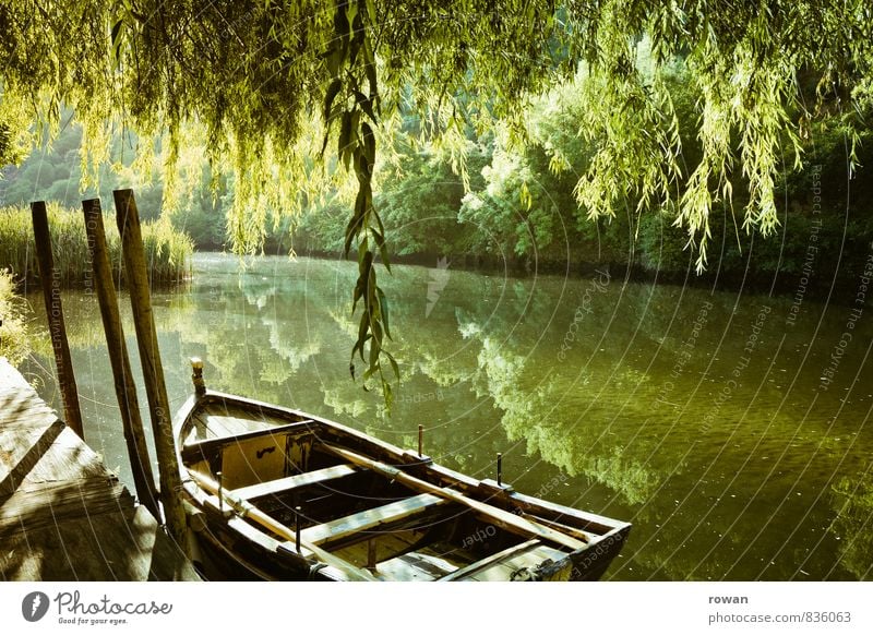 ruderboot Umwelt Natur Landschaft Baum Seeufer Flussufer Schifffahrt Bootsfahrt Ruderboot Hafen Anker Wärme Trauerweide ankern Wasserfahrzeug Idylle Erholung