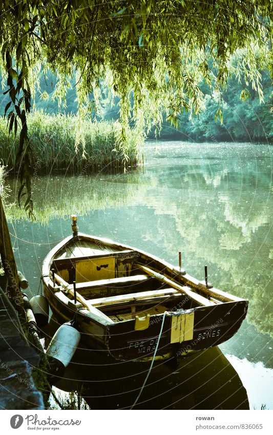 ruderboot Umwelt Natur Landschaft Schönes Wetter See Fluss Ruderboot Wasserfahrzeug Wärme ruhig Erholung Idylle grün Trauerweide Bootsfahrt Anlegestelle