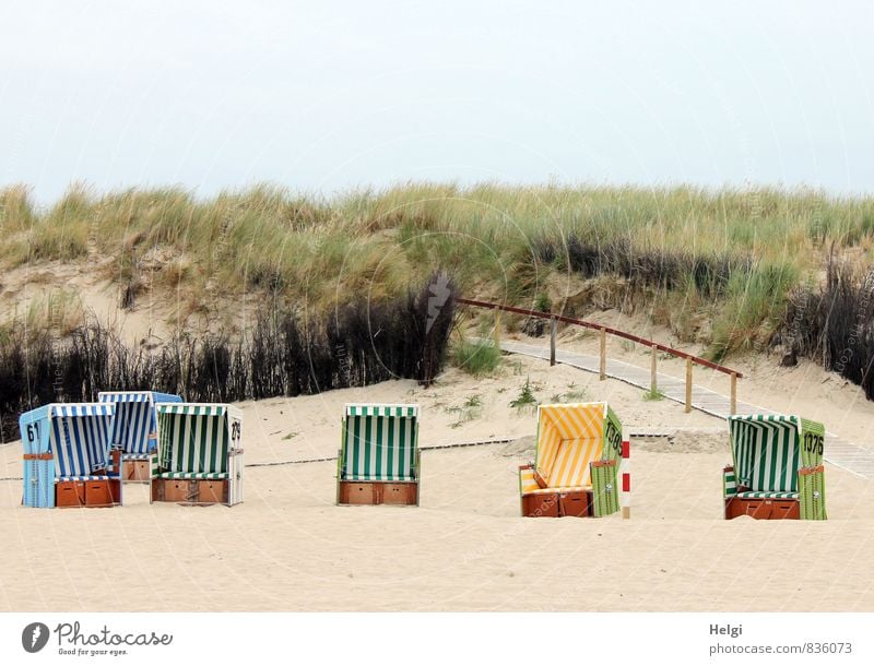 reinsetzen und chillen... Ferien & Urlaub & Reisen Tourismus Sommer Sommerurlaub Umwelt Natur Landschaft Pflanze Himmel Schönes Wetter Gras Grünpflanze Küste