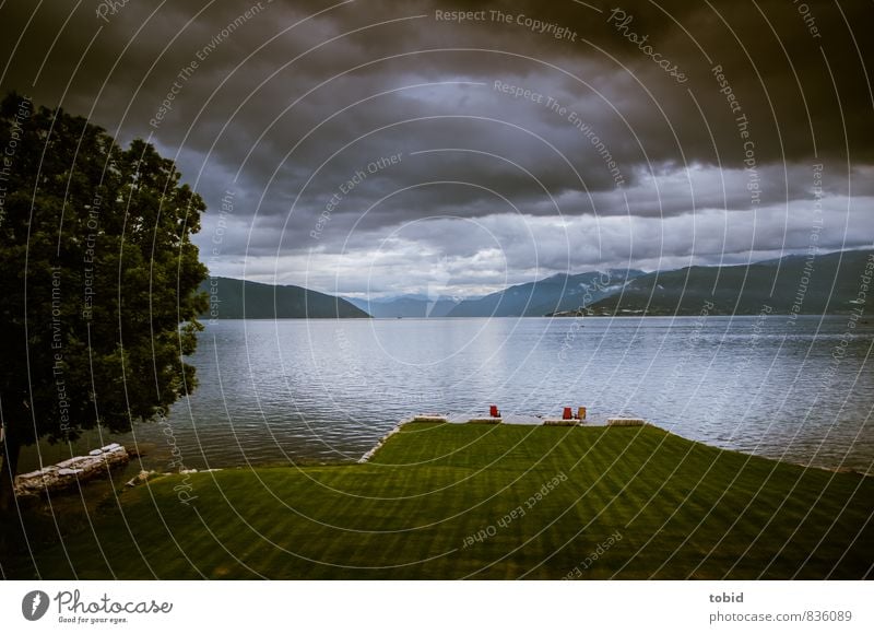 End of Day Natur Landschaft Urelemente Wasser Himmel Wolken Horizont schlechtes Wetter Baum Wiese Rasen Hügel Berge u. Gebirge Wellen Küste Bucht Fjord Norwegen