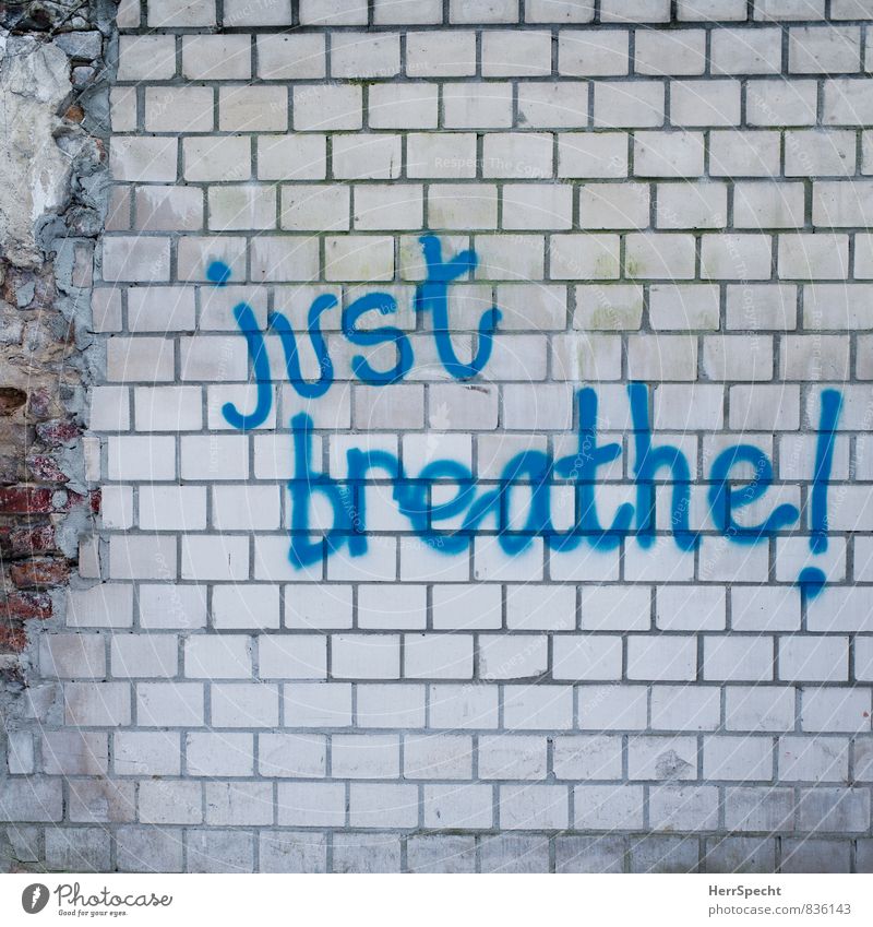 Ratschlag Berlin Stadtzentrum Bauwerk Gebäude Mauer Wand Stein Schriftzeichen Graffiti einfach blau weiß atmen Englisch Befehl Empfehlung Mauerstein Steinmauer