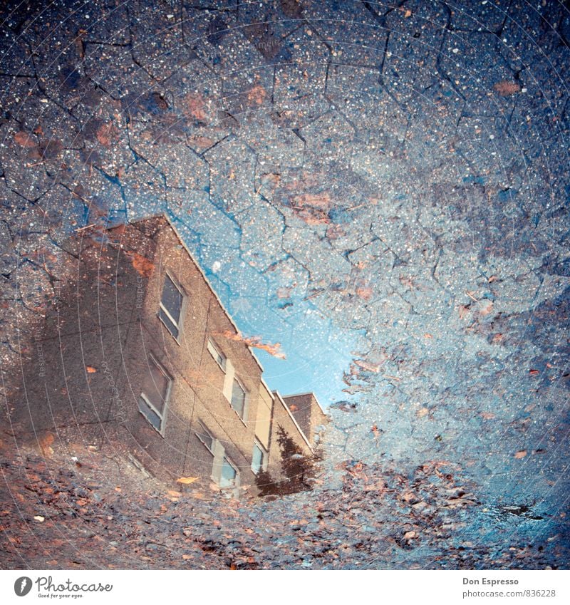 Back in the Days Himmel Herbst Blatt Hochhaus Traurigkeit Ghetto Plattenbau Bodenplatten Asphalt Pflastersteine Kopfsteinpflaster Pfütze Rinnstein Blauer Himmel