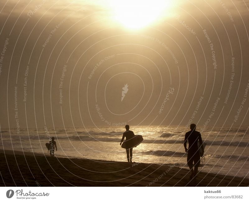 Sunset Surfer See Strand Meer Horizont Wellen Surfen Einsamkeit ruhig Sturm Dämmerung Zufriedenheit Morgen kalt Surfbrett Spaziergang Physik