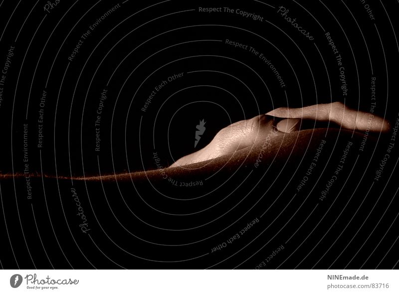 gefühlt ... Warmherzigkeit sentimental stimmig Licht Hand braun Stimmung schwanger Gefühle harmonisch Denken Gedanke Intuition Ambiente Zufriedenheit besinnlich