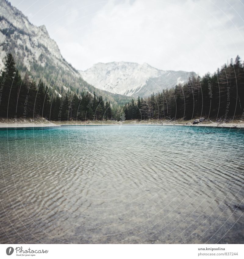 grün, grüner, am grünen see Umwelt Natur Landschaft Urelemente Erde Wasser Himmel Wolken schlechtes Wetter Wald Felsen Berge u. Gebirge Wellen Seeufer