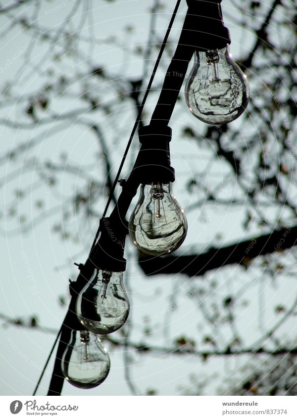 leuchtmittel Lampe Natur Luft Baum hängen Kabel Reflexion & Spiegelung Beleuchtung Elektrizität Farbfoto Schwarzweißfoto Außenaufnahme Menschenleer Tag Licht