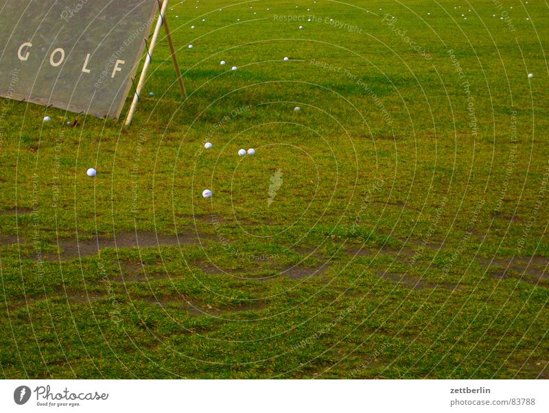 Golffoto Dorf Grundbesitz Gras Wiese grün Grasnarbe Bürgermeister Weide Landwirtschaft Grünfläche Sportrasen Gemeindeland Golfball Dorfwiese Ackerbau Kehren