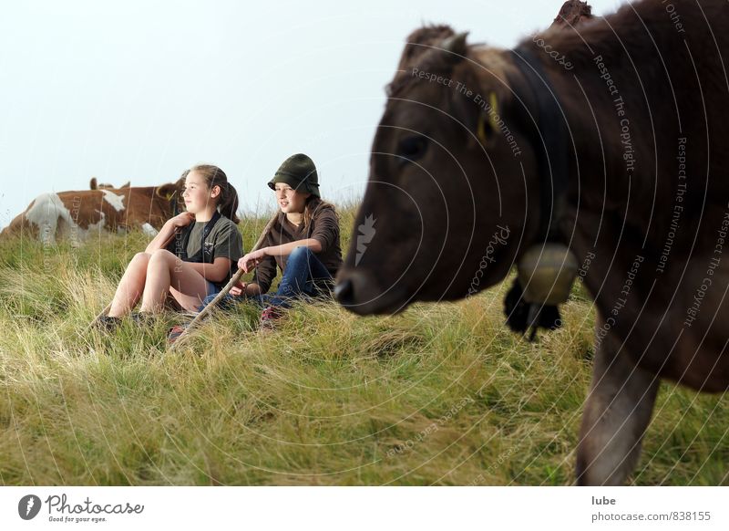 Hirtamadl feminin Mädchen Jugendliche 2 Mensch 13-18 Jahre Kind Umwelt Natur Landschaft Wolken Sommer Alpen Berge u. Gebirge Tier Haustier Nutztier Kuh