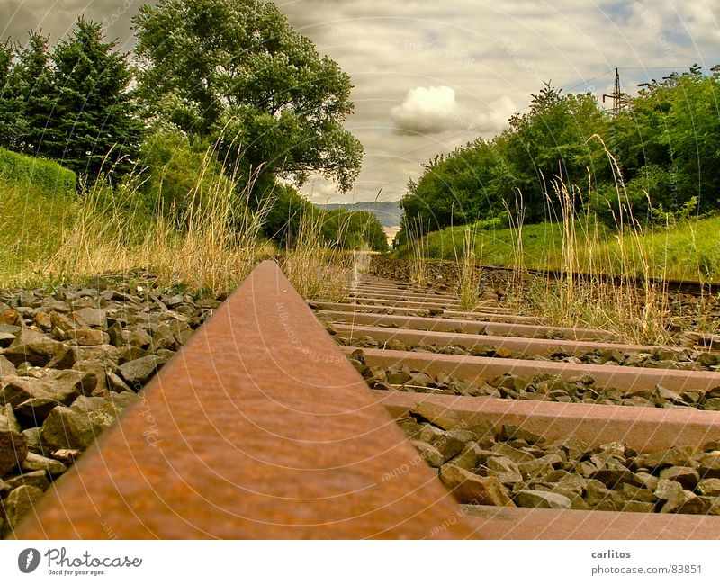 es fährt kein Zug nach nirgendwo Nebenstrecke unökonomisch Gleise Umwelt stilllegen Rost Recycling Sträucher Eisenbahn rostfrei Lebenslauf Wolken Wildnis