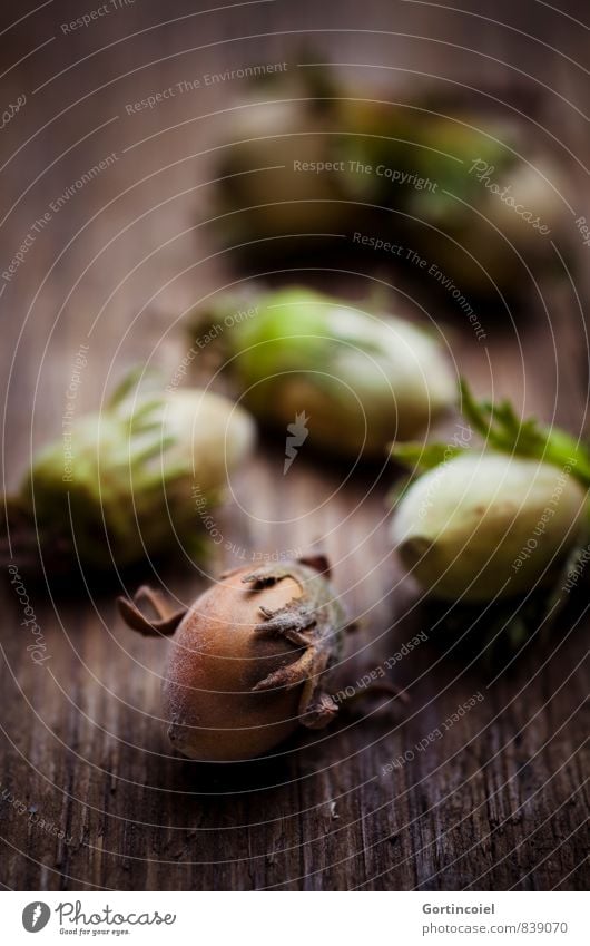 Haselfrüchte Herbst braun Haselnuss Nuss haselnussbraun herbstlich Ernte Erntedankfest Weihnachten & Advent Farbfoto Innenaufnahme Studioaufnahme Nahaufnahme