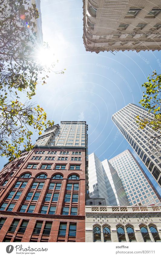 San Francisco | Geschäftsfraublick USA Nebel trüb Hochhaus Stadtzentrum Textfreiraum Mitte