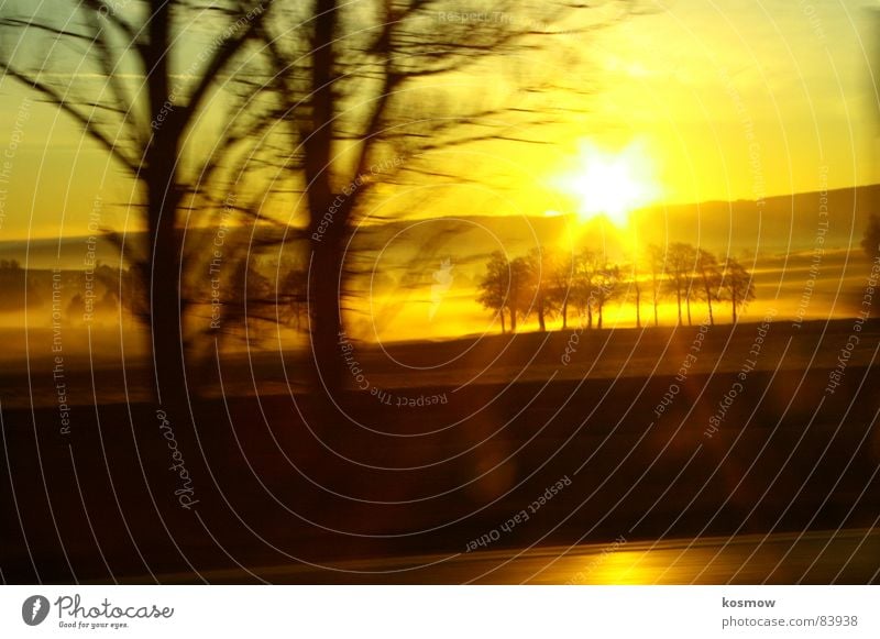 A9 Highway Tales Sonnenaufgang Nebel Baum Autobahn Sonnenstrahlen Morgen Nebelschleier orange Ferne Schleier Schnellstraße Morgendämmerung