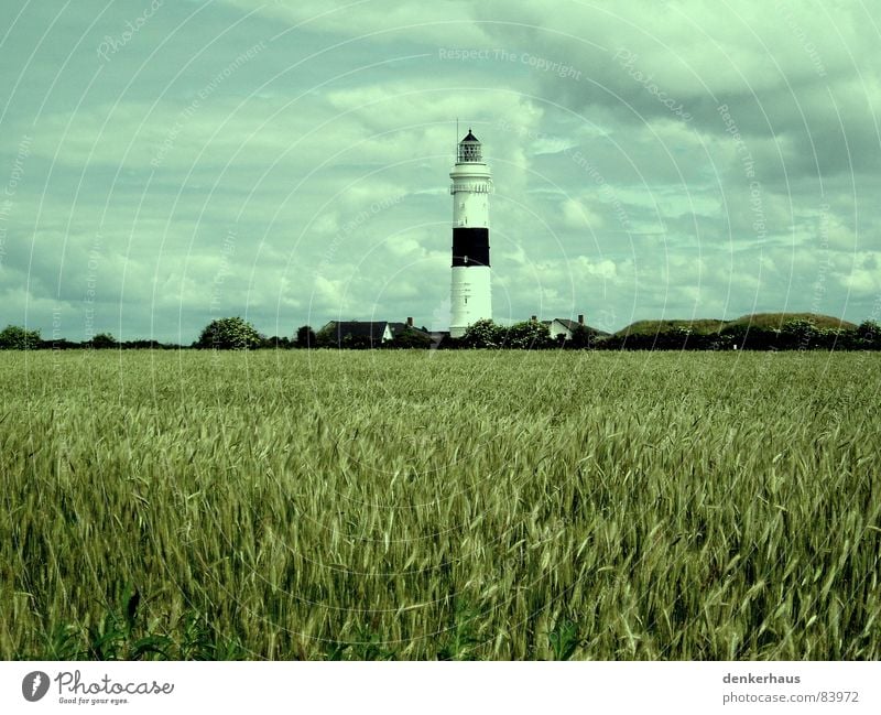 Mehr Licht! Leuchtturm Meer Lampe Küste rot weiß Kornfeld Feld Wolken Horizont Nostalgie Mittag Wahrzeichen Denkmal Turm hell Graffiti Nordsee Getreide