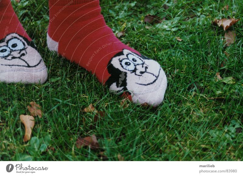 Auf der Pirsch... Strümpfe Affen Gras Wiese Tier grün Grünfläche Sportrasen Freude Sommer auf die socken machen