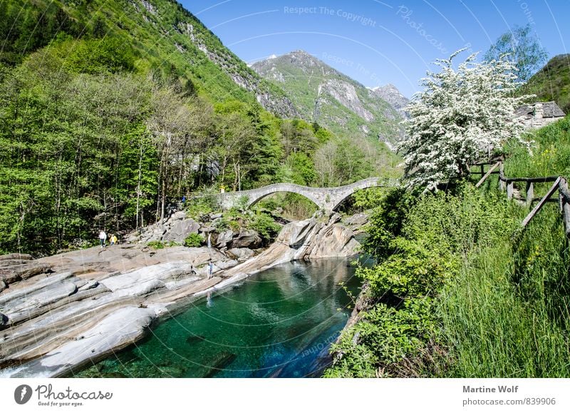 Lavertezzo Natur Landschaft Alpen Flussufer Verzasca-Tal Kanton Tessin Schweiz Europa Brücke Idylle Ferien & Urlaub & Reisen Farbfoto Außenaufnahme Morgen