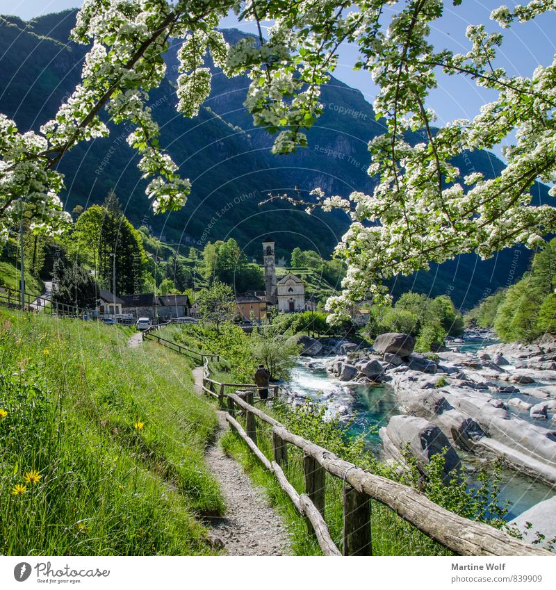 Lavertezzo im Quadrat Natur Landschaft Alpen Flussufer Verzasca-Tal Kanton Tessin Schweiz Europa Dorf Ferien & Urlaub & Reisen Zaun Wege & Pfade Farbfoto