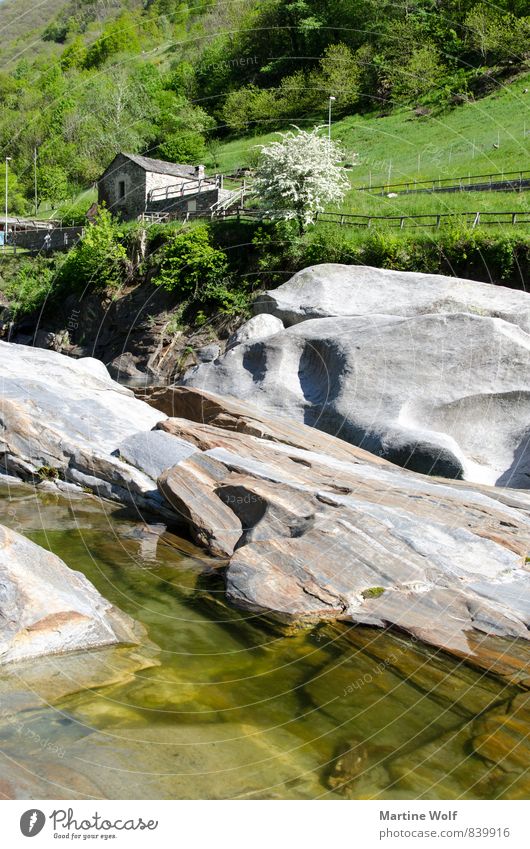 Verzasca Natur Landschaft Felsen Alpen Fluss Lavertezzo Verzasca Tal Kanton Tessin Schweiz Europa Haus Ferien & Urlaub & Reisen ruhig Farbfoto Außenaufnahme