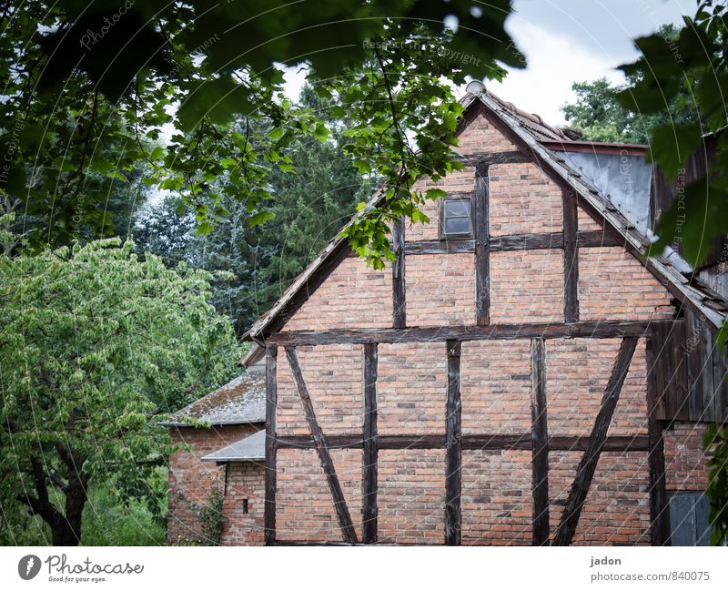 vom fach. elegant Häusliches Leben Haus Traumhaus Garten Sommer Baum Grünpflanze Kleinstadt Bauwerk Gebäude Scheune Mauer Wand Fenster Tür alt ästhetisch