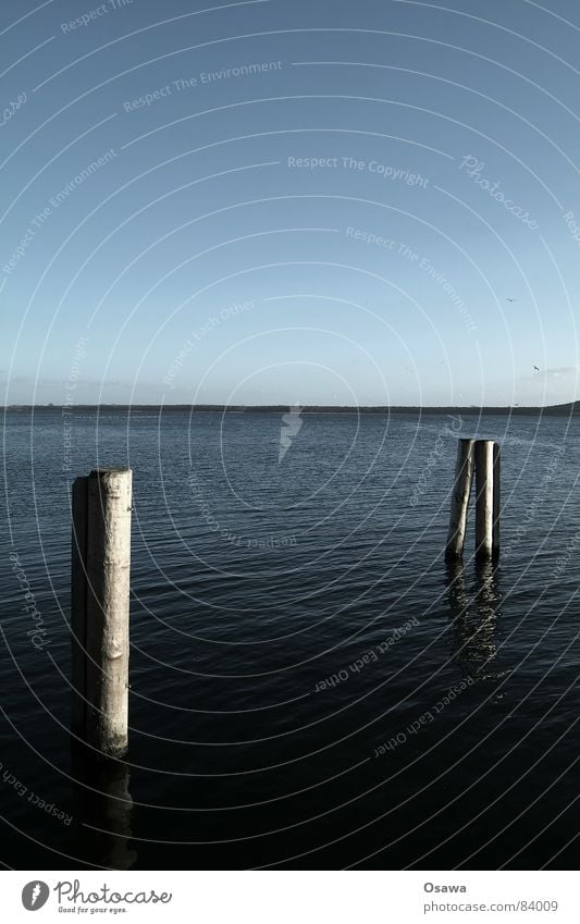 Müggelsee See Binnensee Holz Horizont kalt Wasserstraße Seeufer Stab Himmel Ständer Wasserstand Großer Müggelsee Friedrichshagen Baumstamm wasser... Himmelszelt