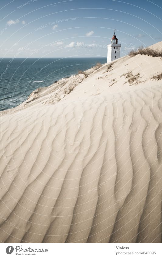 sandman II Ferien & Urlaub & Reisen Sommer Sonne Strand Meer Wellen Küste Bucht Nordsee entdecken Erholung Stranddüne Düne Rubjerg Wanderdüne Rubjerg Knude