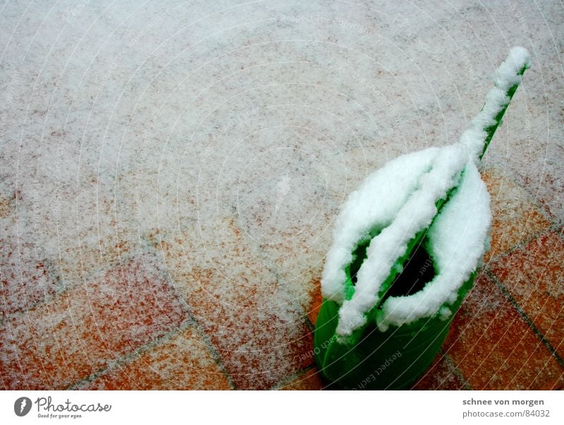 eingeschneit Regen Gießkanne Kannen Balkon grün Blume stehen tauen Schlamm Gras Blumenstrauß Grünfläche Schneeschmelze entladen gießen Dienstleistungsgewerbe