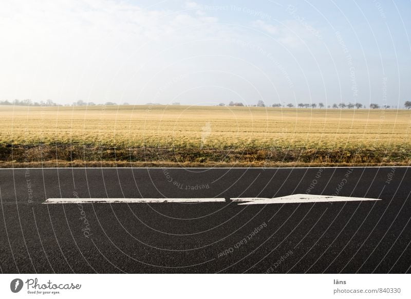 richtungsweisend Landschaft Himmel Wolkenloser Himmel Horizont Feld Verkehr Verkehrswege Straßenverkehr Wege & Pfade Beginn Stadt vorwärts Pfeile