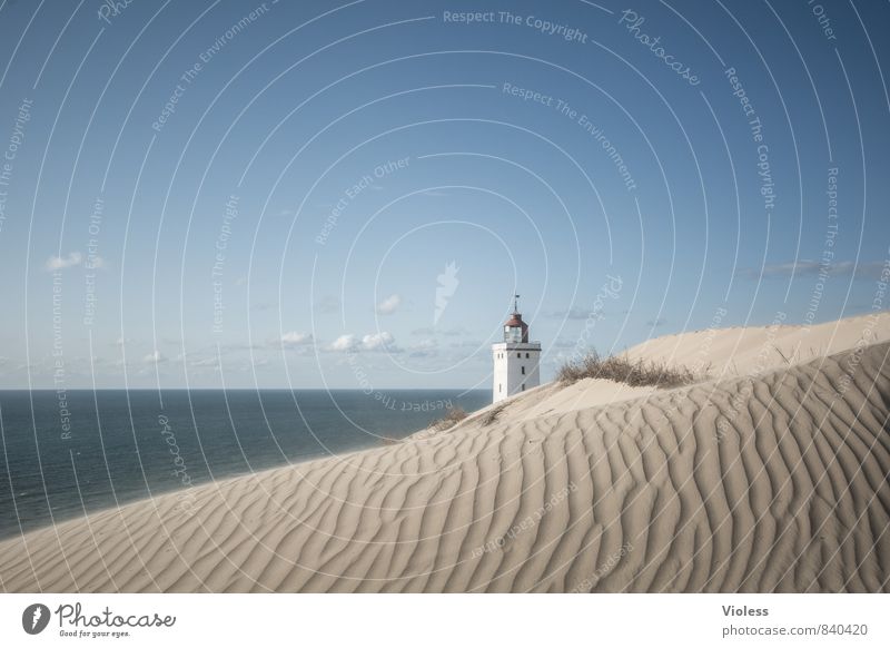 sandmann ... Ferien & Urlaub & Reisen Sommer Sonne Strand Meer Wellen Küste Bucht Nordsee entdecken Erholung Stranddüne Düne Rubjerg Wanderdüne Rubjerg Knude