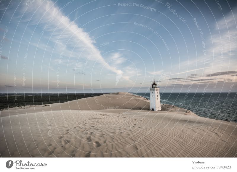 Sandman IV Ferien & Urlaub & Reisen Sommer Sonne Strand Meer Wellen Küste Bucht Nordsee entdecken Erholung Stranddüne Düne Rubjerg Wanderdüne Rubjerg Knude