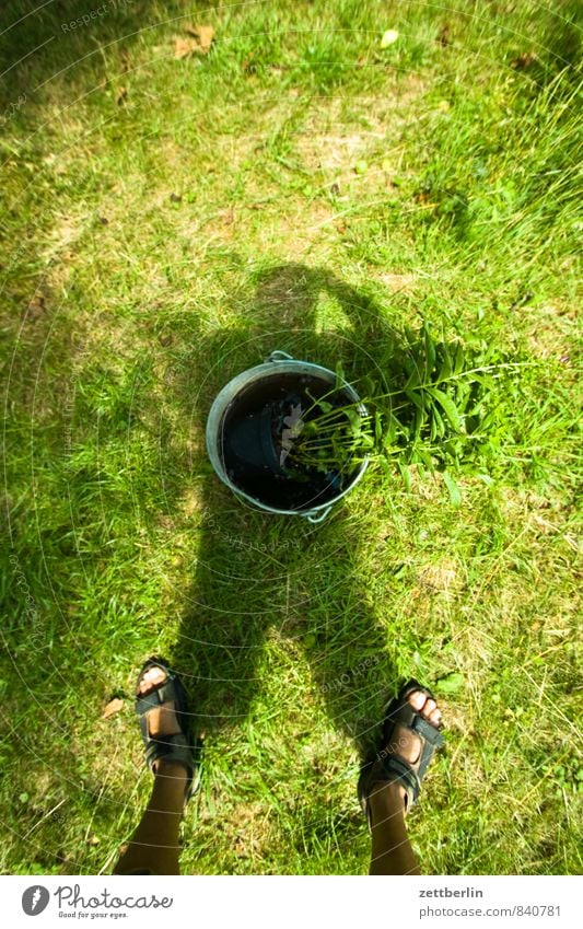 Schatten mit Eimer Gras Wiese Rasen Garten Fuß Sandale Beine stehen Fotografieren selbstgemacht Vase Stauden Blütenstauden Stengel Blumenstrauß Sommer Sonne