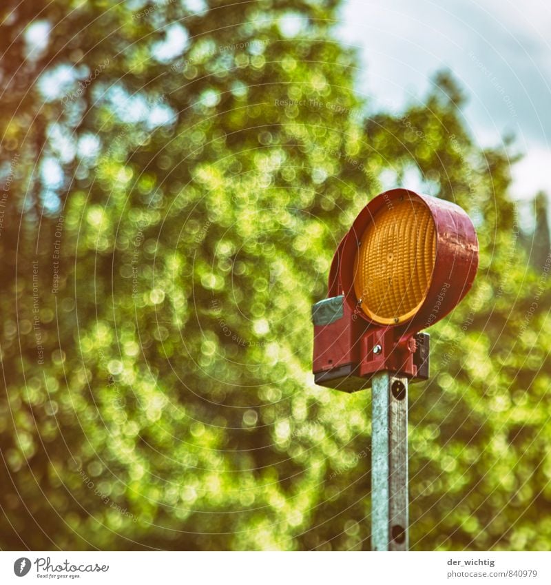 Achtung! Natur Pflanze Wolken Sommer Schönes Wetter Baum Verkehrsstau Verkehrszeichen Verkehrsschild Signalanlage Warnleuchte Warnsignal Metall Kunststoff eckig